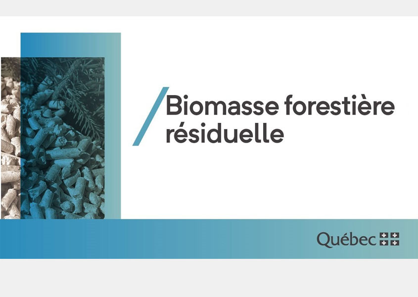 Chauffer une serre avec la biomasse forestière résiduelle
